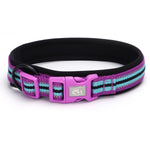 TLX-3462784 Padded Quick-Release Dog Trail Collar, Cotton Webbing, Colorful Buckle, Multiple Sizes and Colors - Image 12