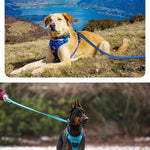 TLX-1720320 Reflective No-Pull Vehicle Safety Harness for Dogs and Cats, Adjustable, Breathable, Lightweight, Washable, Suitable for All Breeds - Image 2