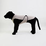 TLX-6733824 Breathable Mesh Cooling Vest for Dogs, Versatile Dog Accessory for Home and Travel - Image 2