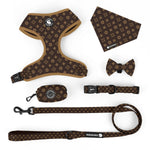 TLX-3561088 Reflective Padded Adventure Leash for Dogs - Adjustable, Durable, Breathable, Washable, Eco-Friendly - Image 3