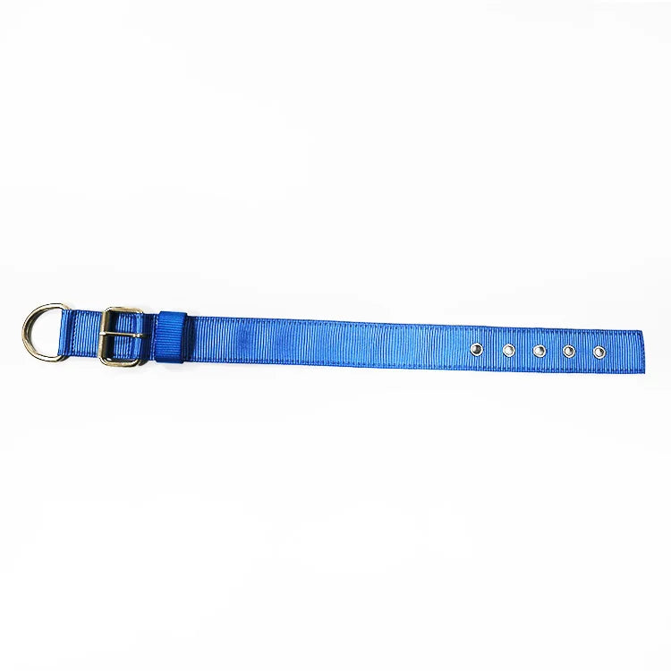 Trail collar for dogs