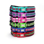 TLX-3462784 Padded Quick-Release Dog Trail Collar, Cotton Webbing, Colorful Buckle, Multiple Sizes and Colors - Image 1