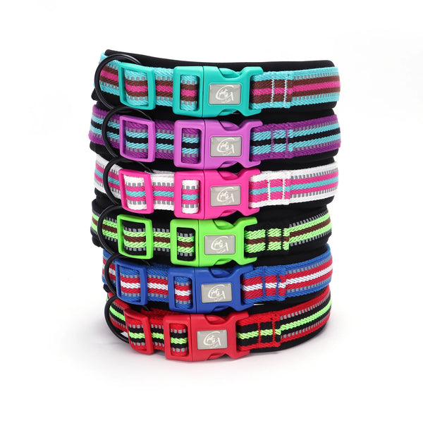 Padded Quick-Release Trail Collar for Dogs