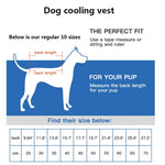 TLX-6733824 Breathable Mesh Cooling Vest for Dogs, Versatile Dog Accessory for Home and Travel - Image 4