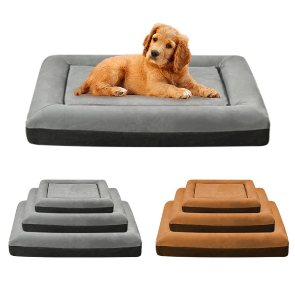 Foldable Sand Resistant Dog Bed
