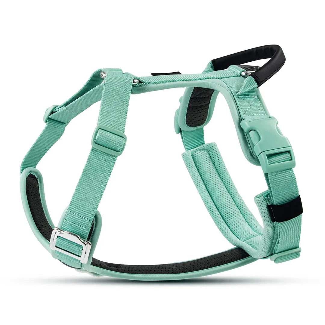 Padded adjustable everyday dog harness   for daily walks