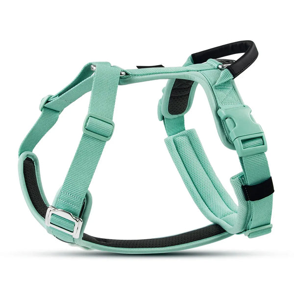Padded Adjustable Everyday Dog Harness - for Daily Walks