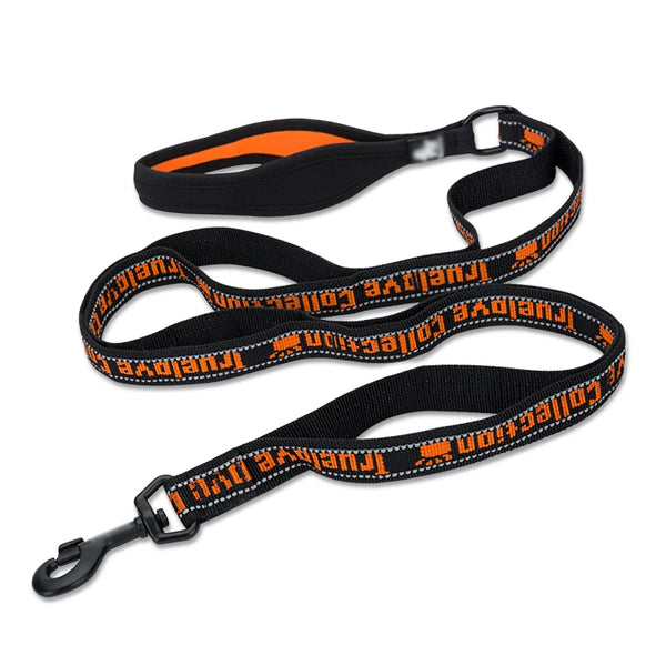 Reflective Waterproof Daily Leash for Dogs
