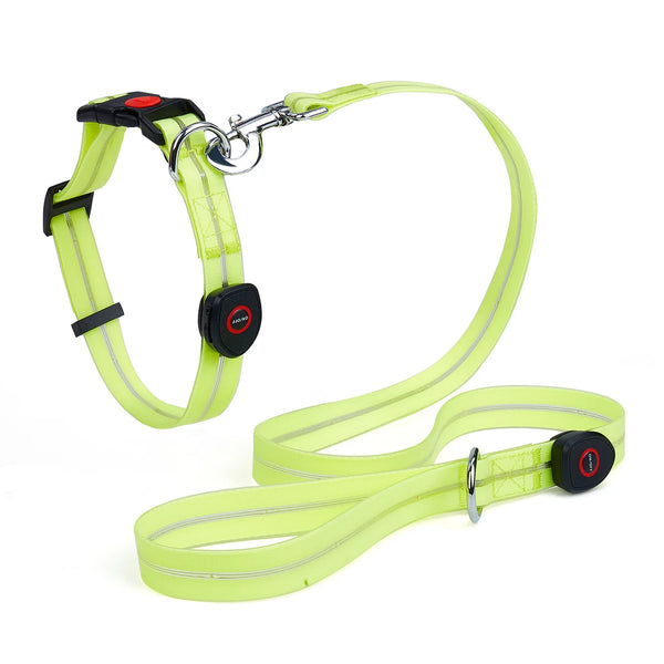 Adjustable Breathable Mesh LED Collar Light for Dogs