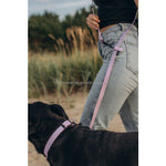 TLX-3724928 Adjustable Breathable Mesh Dog Leash, PVC Coated Webbing, 1.8m & 2.5m Lengths, Suitable for Small to Giant Breeds - Image 6