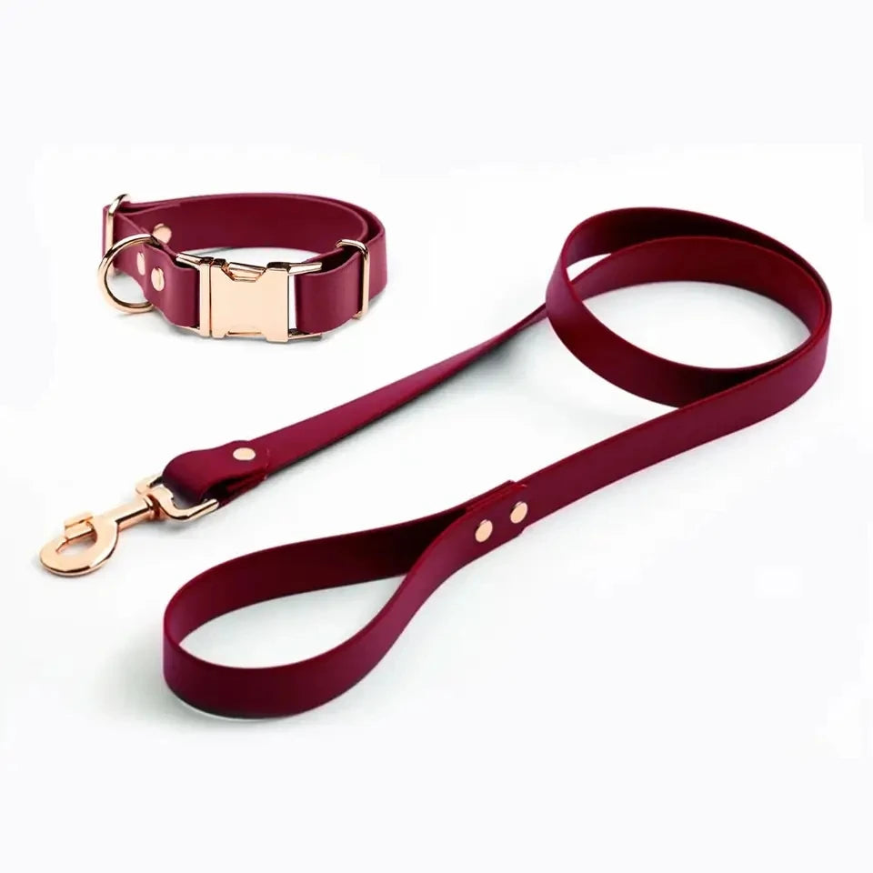 Waterproof adjustable water leash for dogs