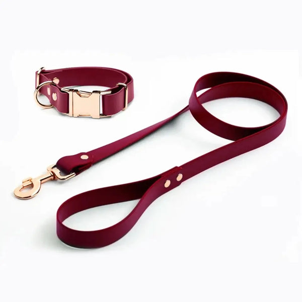 Waterproof Adjustable Water Leash for Dogs