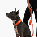 TLX-1139840 Reflective Tactical Dog Harness for Large, Medium, and Giant Breeds, Reliable Companion Gear for Adventures - Image 3
