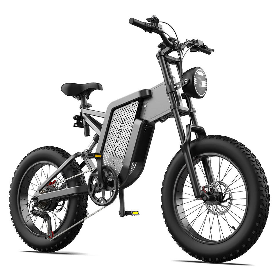 20 Inch Fat Tire Mountain Electric Bike 2000W 48V 35Ah