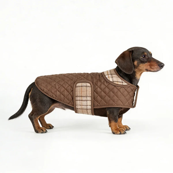 Reflective Waterproof Cooling Vest for Dogs