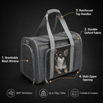 Load image into Gallery viewer, Foldable Oxford Portable Pet Carrier Bag Breathable Mesh Window Travel Cat Small Dog Carrier Lightweight Multi-Zipper OEM
