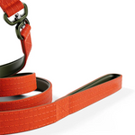 TLX-4669440 No-Pull Padded Tactical Dog Harness for Training and Outdoor Activities, Adjustable Nylon, Lightweight, Available in Multiple Sizes - Image 4