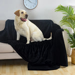TLX-9551872 Waterproof Outdoor Blanket for Dogs, Quilted Rectangular Shape, Lightweight, Machine Washable - Image 4