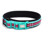 TLX-3462784 Padded Quick-Release Dog Trail Collar, Cotton Webbing, Colorful Buckle, Multiple Sizes and Colors - Image 11
