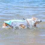 TLX-6701056 Reflective Adjustable Cooling Vest for Dogs, Practical Pet Supplies for Daily Use - Image 5