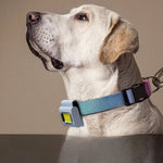 TLX-5396096 LED Safety Light for Dogs, Essential Supplies for Outdoor and Indoor Use - Image 4