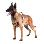 TLX-9370368 Adjustable Breathable Mesh Tactical Dog Harness for Training and Outdoor Activities - Image 6