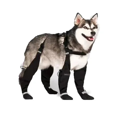 Adjustable Hiking Dog Boots