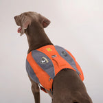 TLX-9140992 Adjustable Dog Hiking Harness with Saddle Bags for Trail and Travel, Lightweight Nylon and Iron, Sizes M, L, XL - Image 7