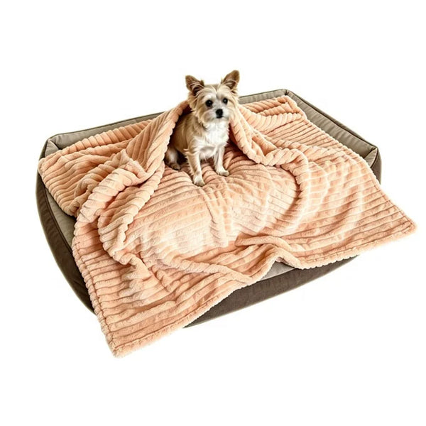 Outdoor Blanket for Dogs