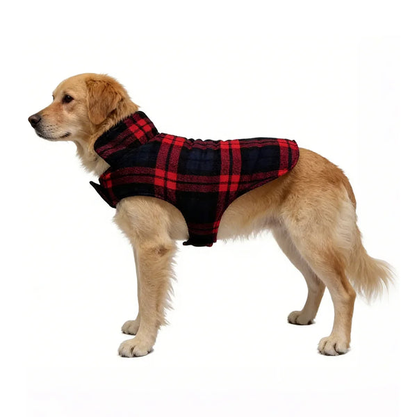 Weather Resistant Jacket for Dogs