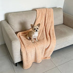 TLX-9519104 Outdoor Blanket for Dogs, Practical Pet Supplies for Daily Use - Image 3