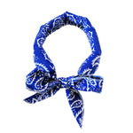 TLX-7263872 Cooling Bandana for Dogs, Reliable Companion Gear for Adventures - Image 7